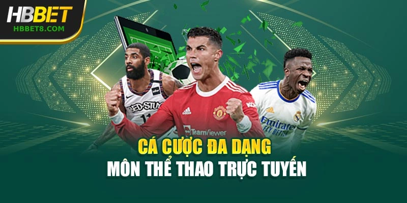 Cá cược đa dạng môn thể thao trực tuyến