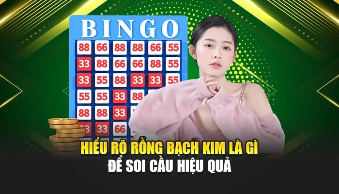 Hiểu rõ rồng bạch kim là gì để soi cầu hiệu quả