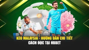 Kèo Malaysia - Hướng Dẫn Chi Tiết Cách Đọc Tại HBBET