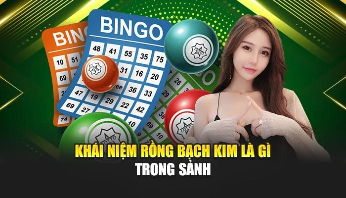 Khái niệm rồng bạch kim là gì trong sảnh