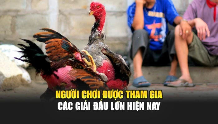 Người chơi được tham gia các giải đấu lớn hiện nay