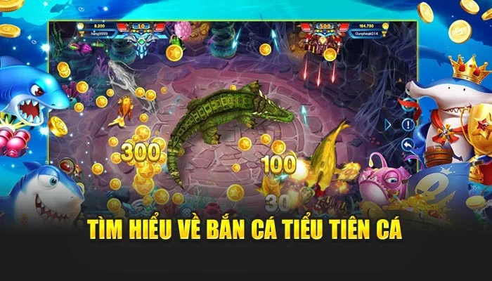 Tìm hiểu về bắn cá tiểu tiên cá