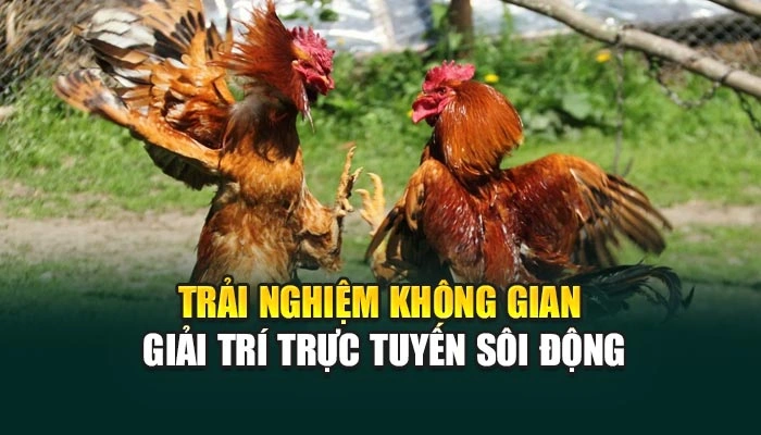Trải nghiệm thế giới giải trí trực tuyến cực sôi động
