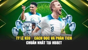 Tỷ Lệ Kèo – Cách Đọc Và Phân Tích Chuẩn Nhất Tại HBBET